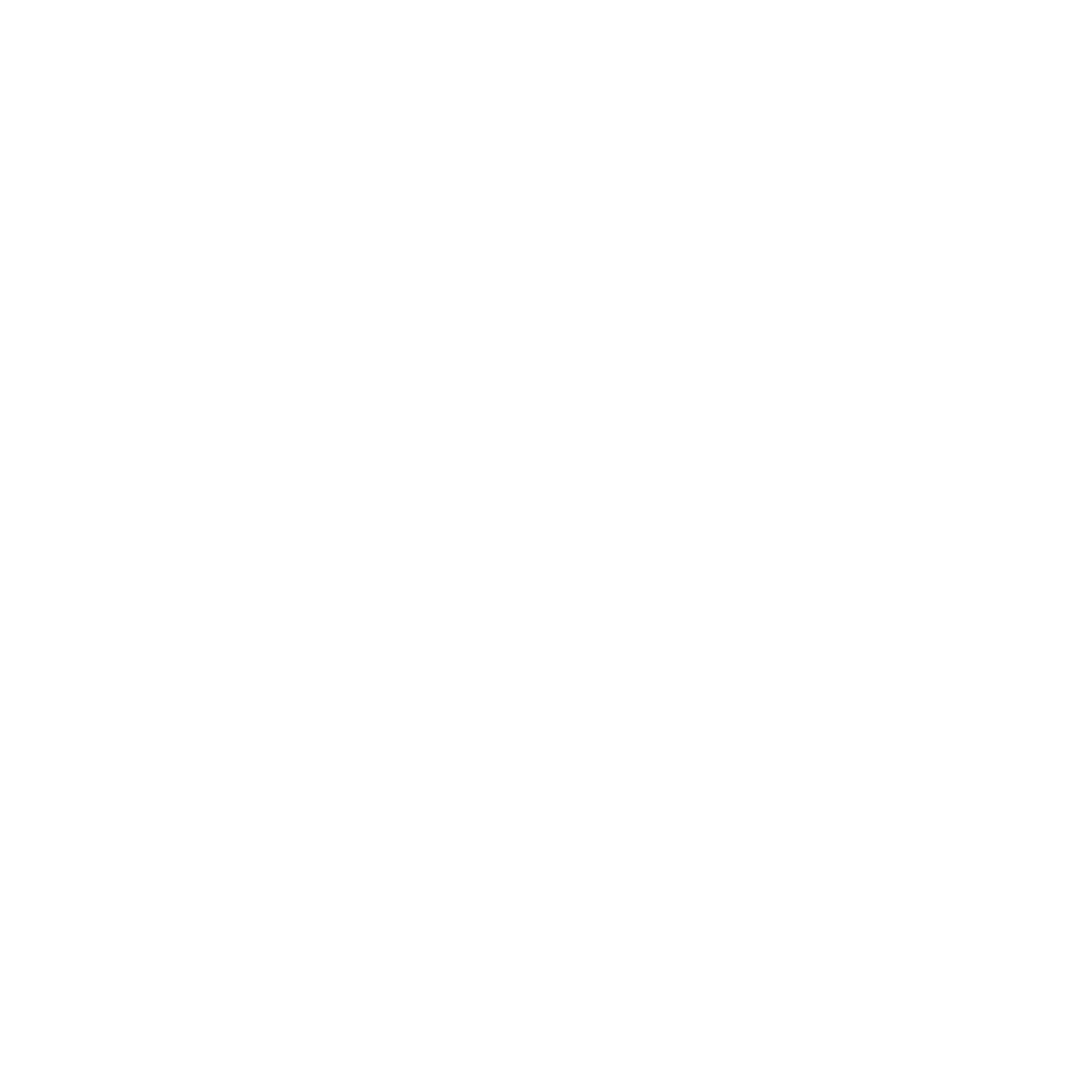 Burger Image